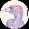 ladybirdievtg